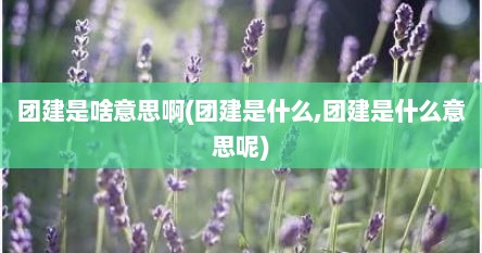 团建是啥意思啊(团建是什么,团建是什么意思呢)