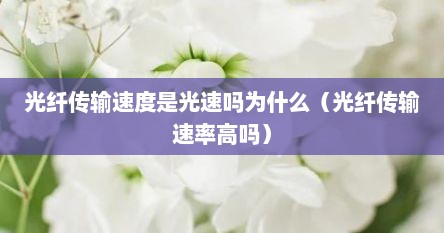光纤传输速度是光速吗为什么（光纤传输速率高吗）