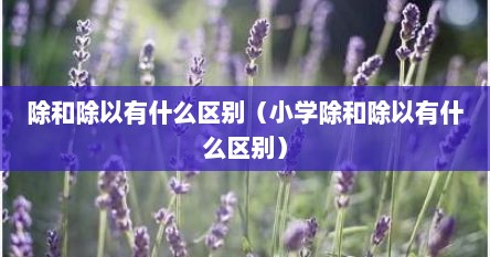 除和除以有什么区别（小学除和除以有什么区别）