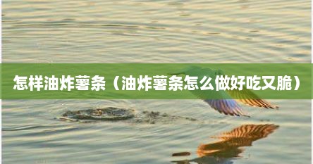 怎样油炸薯条（油炸薯条怎么做好吃又脆）
