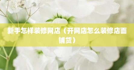 新手怎样装修网店（开网店怎么装修店面铺货）