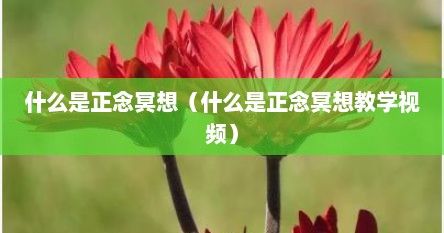 什么是正念冥想（什么是正念冥想教学视频）