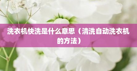 洗衣机快洗是什么意思（清洗自动洗衣机的方法）