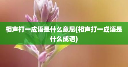 相声打一成语是什么意思(相声打一成语是什么成语)