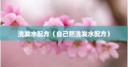 洗发水配方（自己熬洗发水配方）