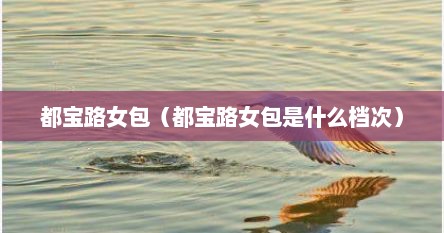 都宝路女包（都宝路女包是什么档次）