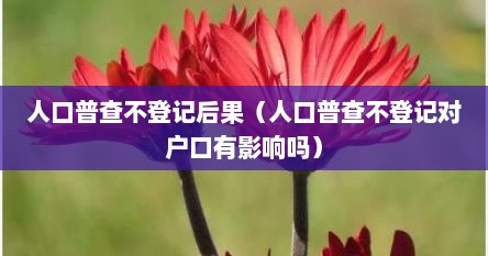 人口普查不登记后果（人口普查不登记对户口有影响吗）