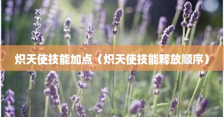 炽天使100级技能加点（炽天使加buff顺序）