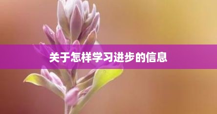 关于怎样学习进步的信息