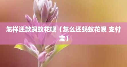 怎样还款蚂蚁花呗（怎么还蚂蚁花呗 支付宝）