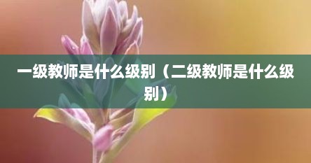 一级教师是什么级别（二级教师是什么级别）