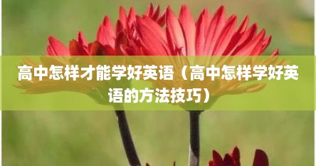 高中怎样才能学好英语（高中怎样学好英语的方法技巧）