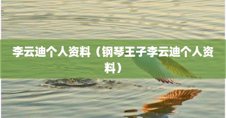 李云迪个人资料（钢琴王子李云迪个人资料）