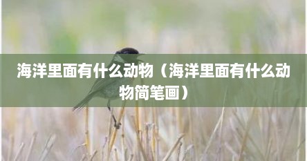 海洋里面有什么动物（海洋里面有什么动物简笔画）