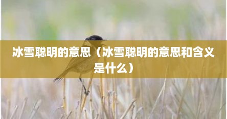 冰雪聪明的意思（冰雪聪明的意思和含义是什么）
