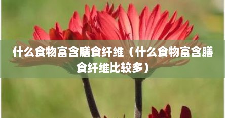 什么食物富含膳食纤维（什么食物富含膳食纤维比较多）