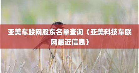 亚美车联网股东名单查询（亚美科技车联网最近信息）