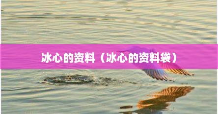冰心的资料（冰心的资料袋）