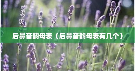 后鼻音韵母表（后鼻音韵母表有几个）