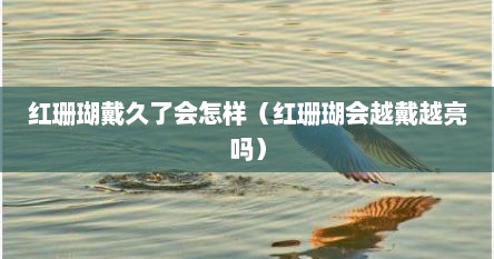 红珊瑚戴久了会怎样（红珊瑚会越戴越亮吗）