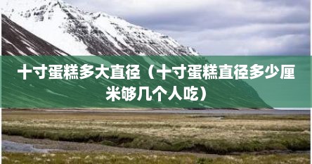 十寸蛋糕多大直径（十寸蛋糕直径多少厘米够几个人吃）
