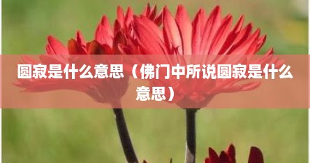 圆寂是什么意思（佛门中所说圆寂是什么意思）