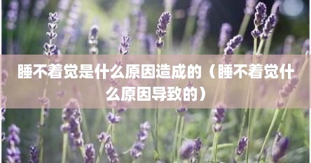 睡不着觉是什么原因造成的（睡不着觉什么原因导致的）