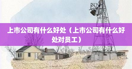 上市公司有什么好处（上市公司有什么好处对员工）