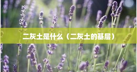 二灰土是什么（二灰土的基层）