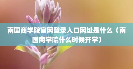南国商学院官网登录入口网址是什么（南国商学院什么时候开学）