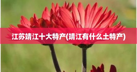 江苏靖江十大特产(靖江有什么土特产)