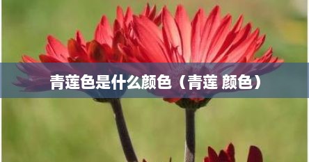 青莲色是什么颜色（青莲 颜色）