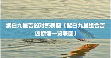 紫白九星吉凶对照表图（紫白九星组合吉凶断语一览表图）
