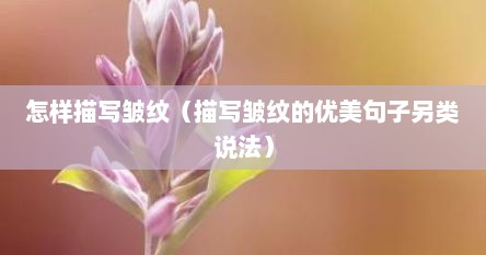怎样描写皱纹（描写皱纹的优美句子另类说法）