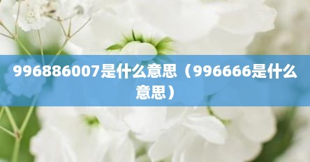 996886007是什么意思（996666是什么意思）