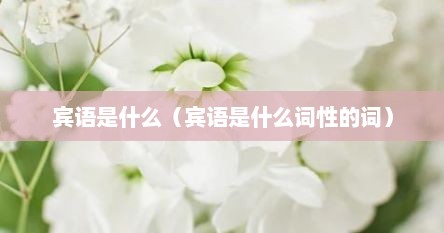 宾语是什么（宾语是什么词性的词）