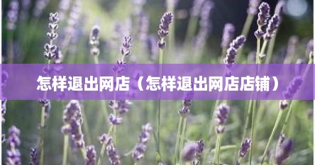 怎样退出网店（怎样退出网店店铺）