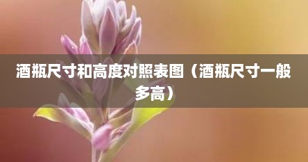 酒瓶尺寸和高度对照表图（酒瓶尺寸一般多高）