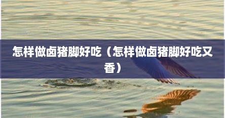 怎样做卤猪脚好吃（怎样做卤猪脚好吃又香）