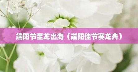 端阳节至龙出海（端阳佳节赛龙舟）