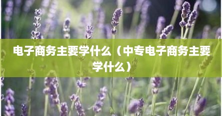电子商务主要学什么（中专电子商务主要学什么）