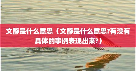 文静是什么意思解释一下（文静是什么意思）