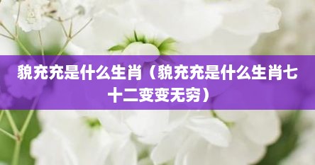 貌充充是什么生肖（貌充充是什么生肖七十二变变无穷）