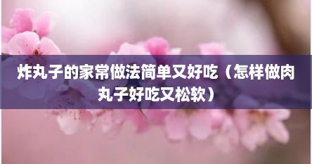 炸丸子的家常做法简单又好吃（怎样做肉丸子好吃又松软）