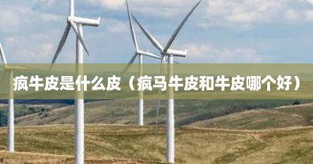 疯牛皮是什么皮（疯马牛皮和牛皮哪个好）