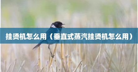 垂直式蒸汽挂烫机怎么使用（倍立莱垂直式蒸汽挂烫机）