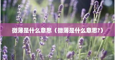 微薄是什么意思（微薄是什么意思?）