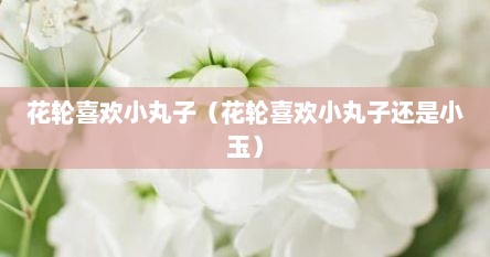 花轮喜欢小丸子（花轮喜欢小丸子还是小玉）