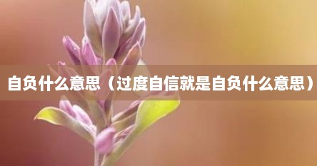 自负什么意思（过度自信就是自负什么意思）