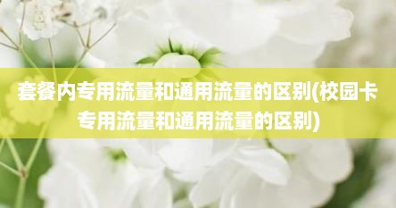 套餐内专用流量和通用流量的区别(校园卡专用流量和通用流量的区别)